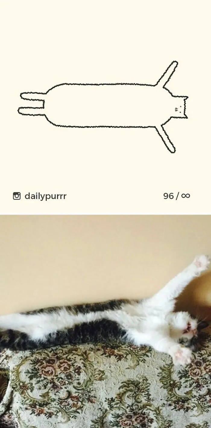 85 Times ‘Stupid Cat Drawings’ Made Everyone Laugh With How Accurate They Were