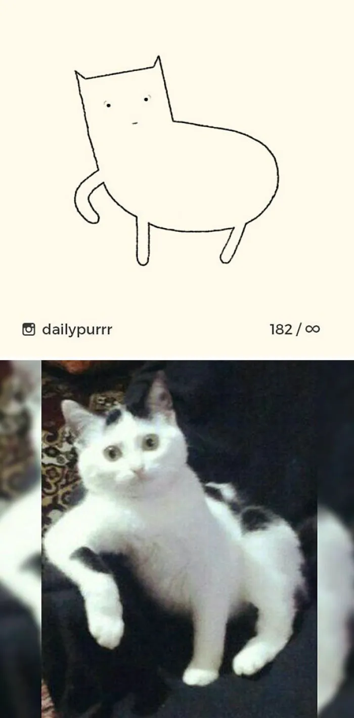 85 Times ‘Stupid Cat Drawings’ Made Everyone Laugh With How Accurate They Were