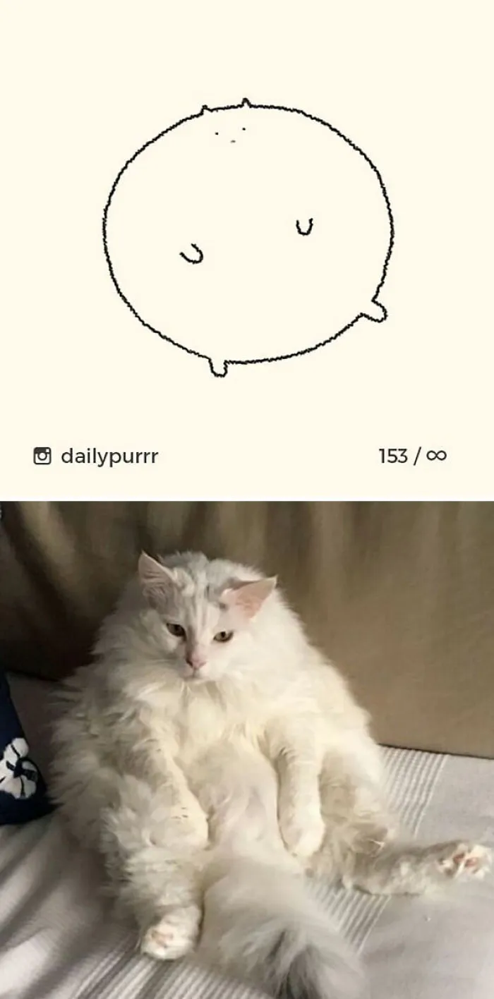 85 Times ‘Stupid Cat Drawings’ Made Everyone Laugh With How Accurate They Were