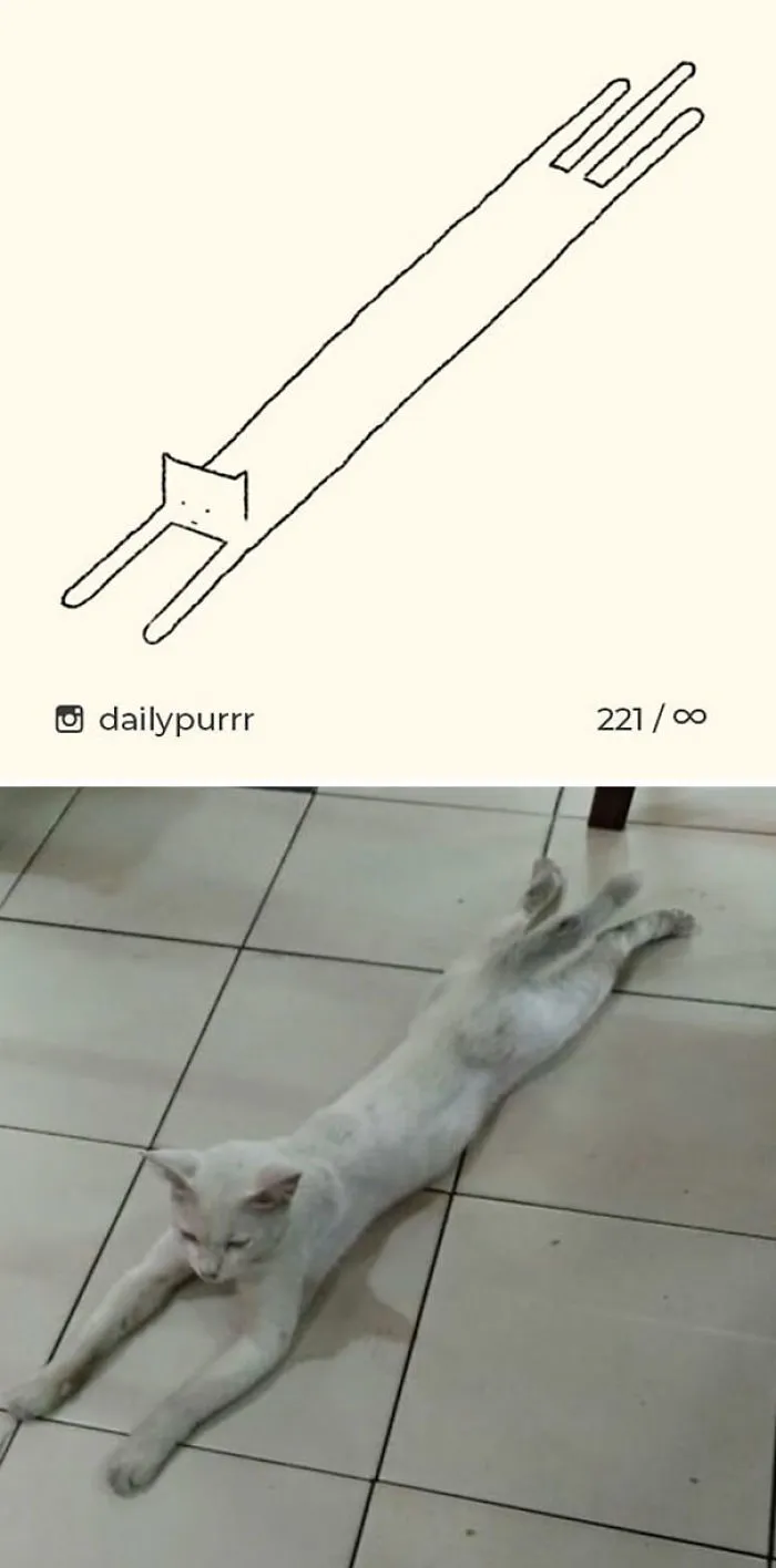 85 Times ‘Stupid Cat Drawings’ Made Everyone Laugh With How Accurate They Were