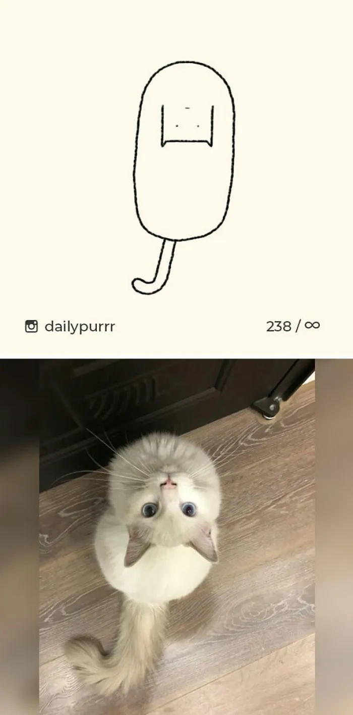 85 Times ‘Stupid Cat Drawings’ Made Everyone Laugh With How Accurate They Were