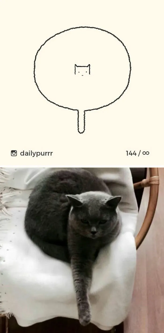 85 Times ‘Stupid Cat Drawings’ Made Everyone Laugh With How Accurate They Were