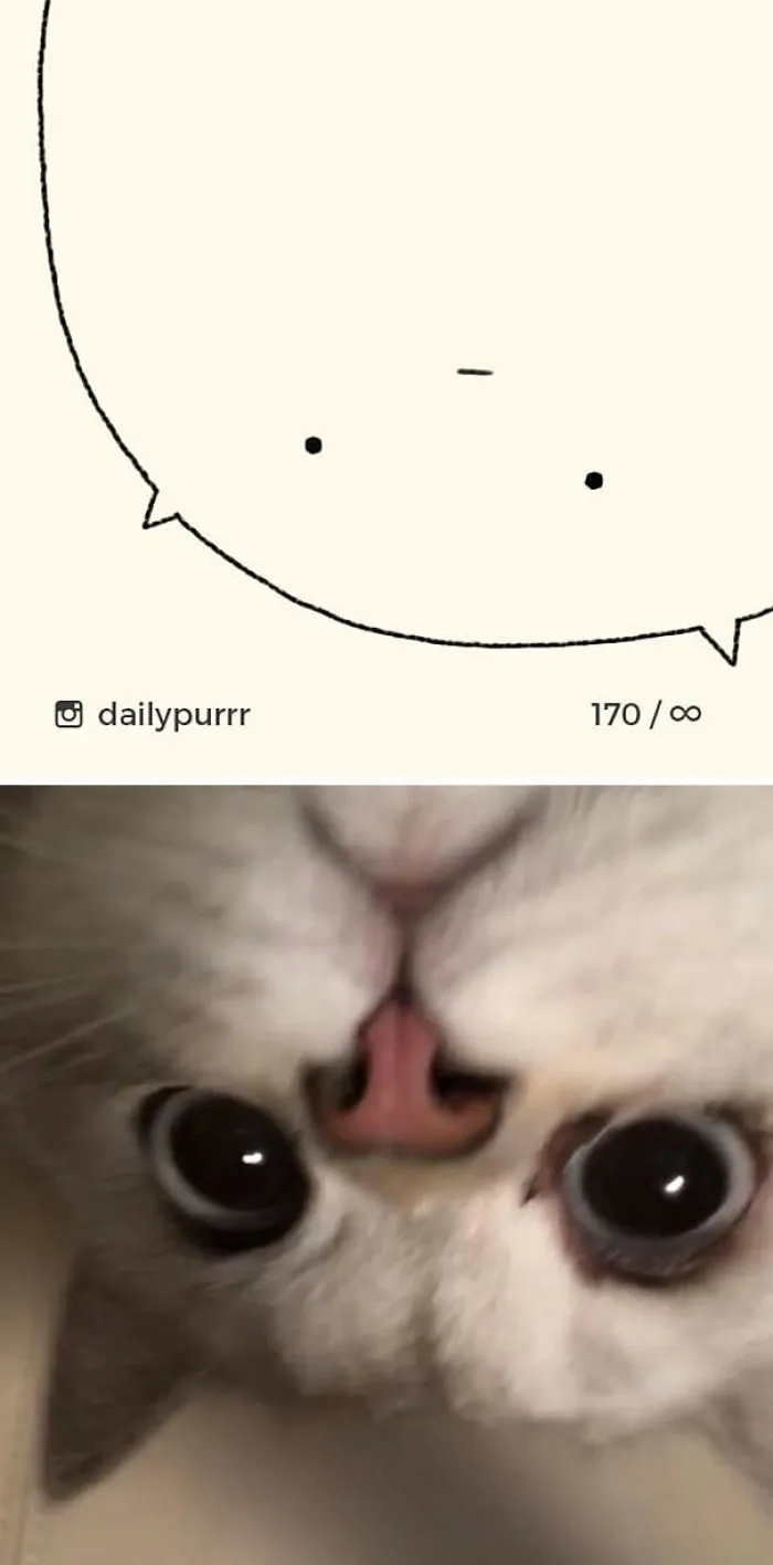 85 Times ‘Stupid Cat Drawings’ Made Everyone Laugh With How Accurate They Were