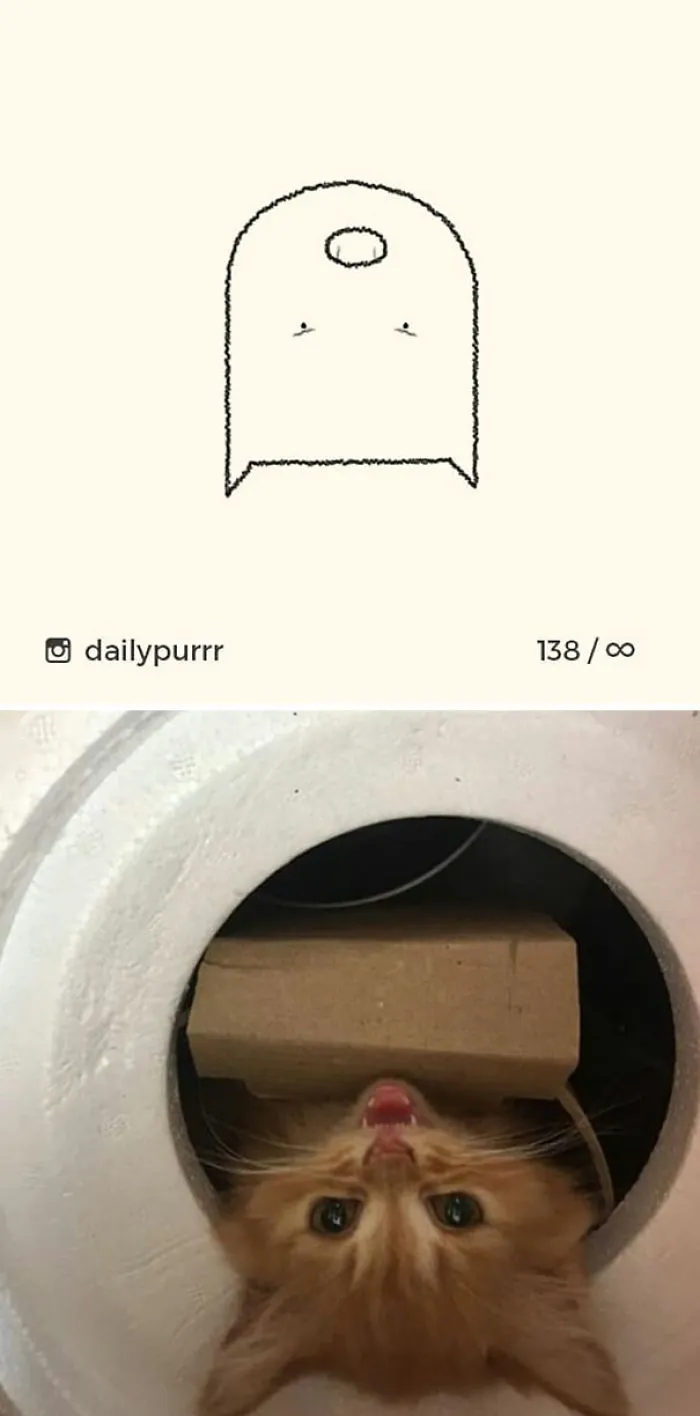 85 Times ‘Stupid Cat Drawings’ Made Everyone Laugh With How Accurate They Were
