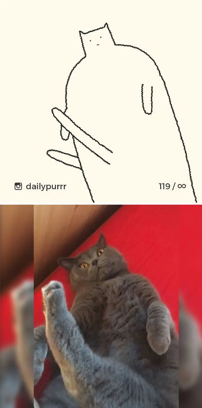 85 Times ‘Stupid Cat Drawings’ Made Everyone Laugh With How Accurate They Were