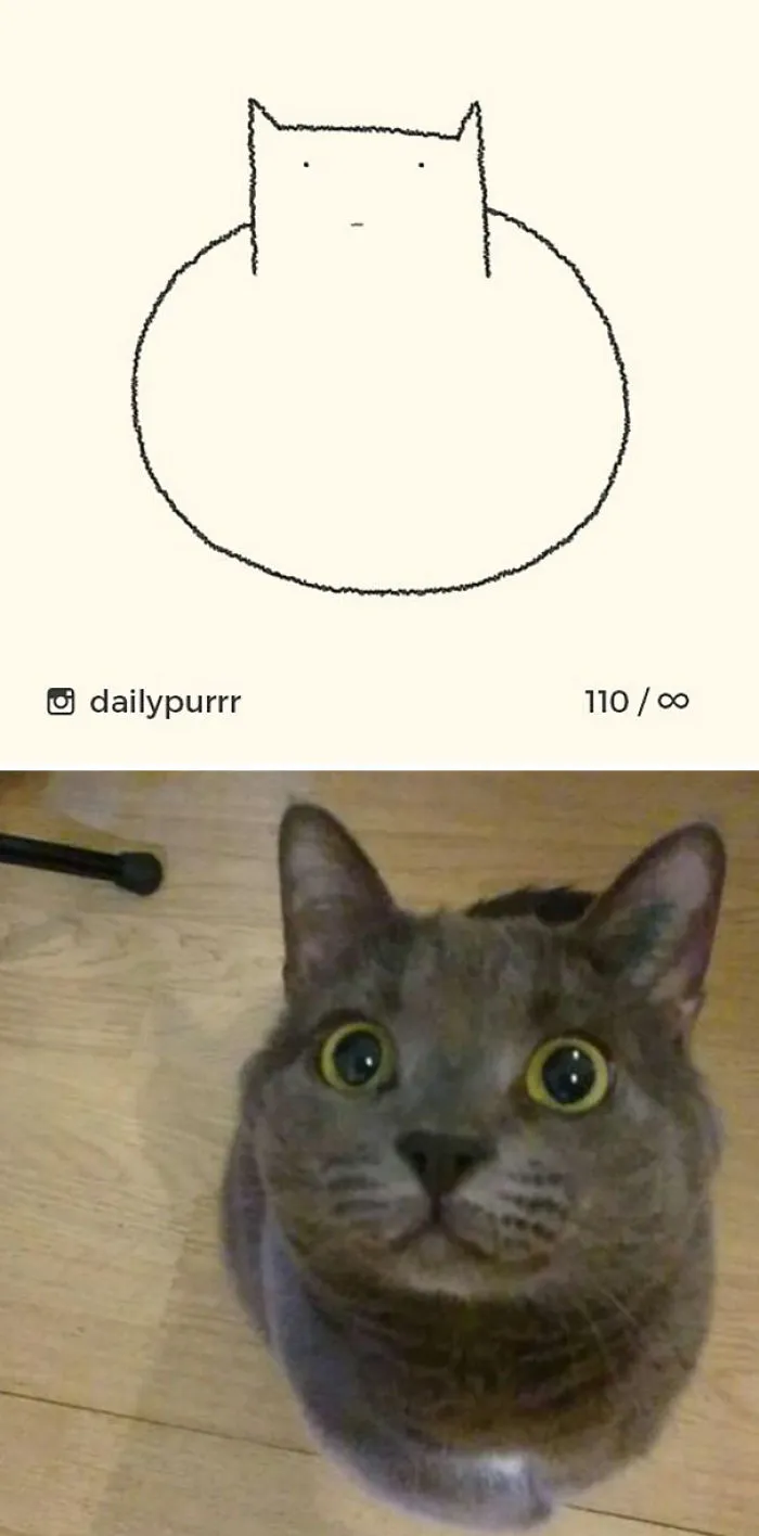 85 Times ‘Stupid Cat Drawings’ Made Everyone Laugh With How Accurate They Were