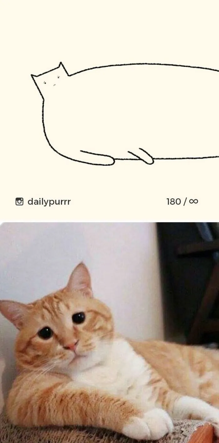 85 Times ‘Stupid Cat Drawings’ Made Everyone Laugh With How Accurate They Were