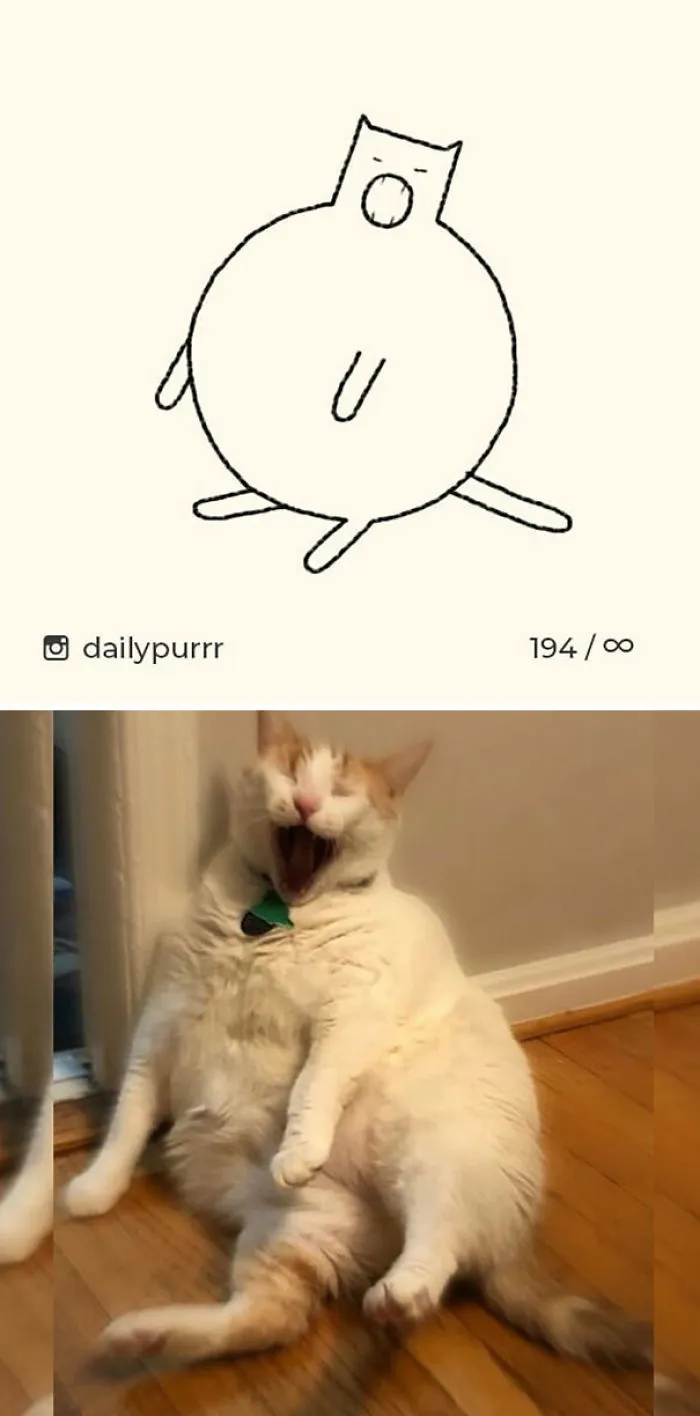 85 Times ‘Stupid Cat Drawings’ Made Everyone Laugh With How Accurate They Were