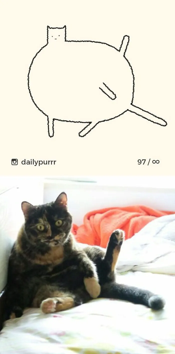 85 Times ‘Stupid Cat Drawings’ Made Everyone Laugh With How Accurate They Were