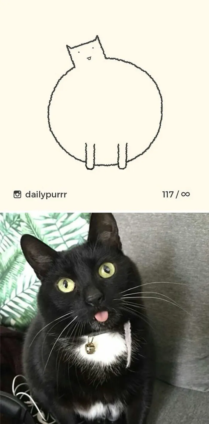 85 Times ‘Stupid Cat Drawings’ Made Everyone Laugh With How Accurate They Were