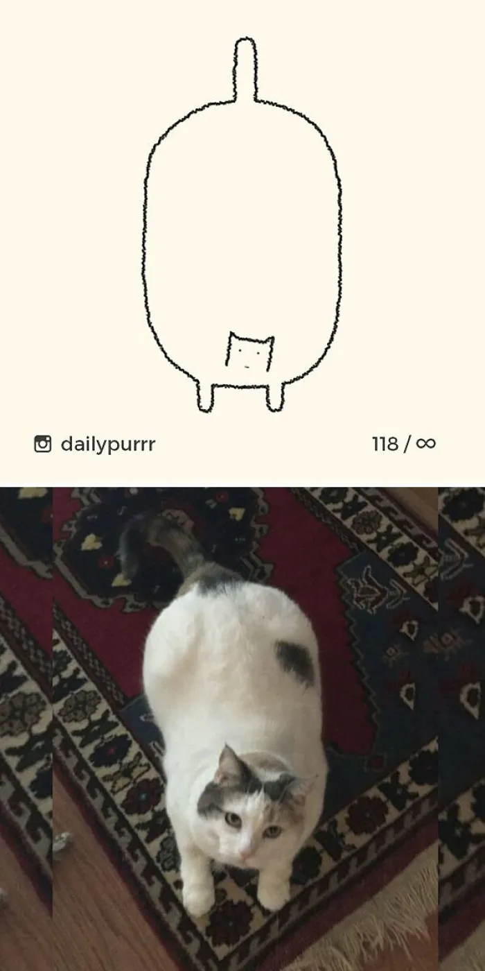 85 Times ‘Stupid Cat Drawings’ Made Everyone Laugh With How Accurate They Were