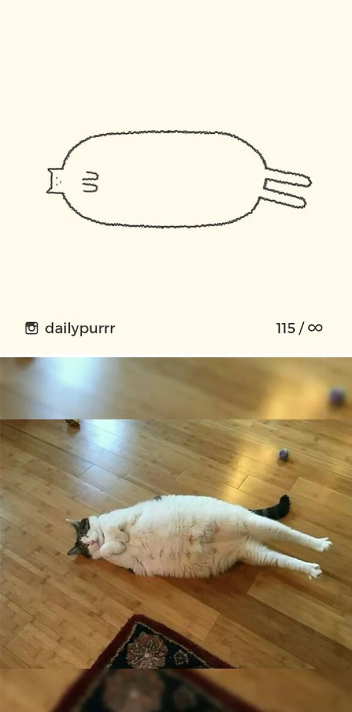 85 Times ‘Stupid Cat Drawings’ Made Everyone Laugh With How Accurate They Were