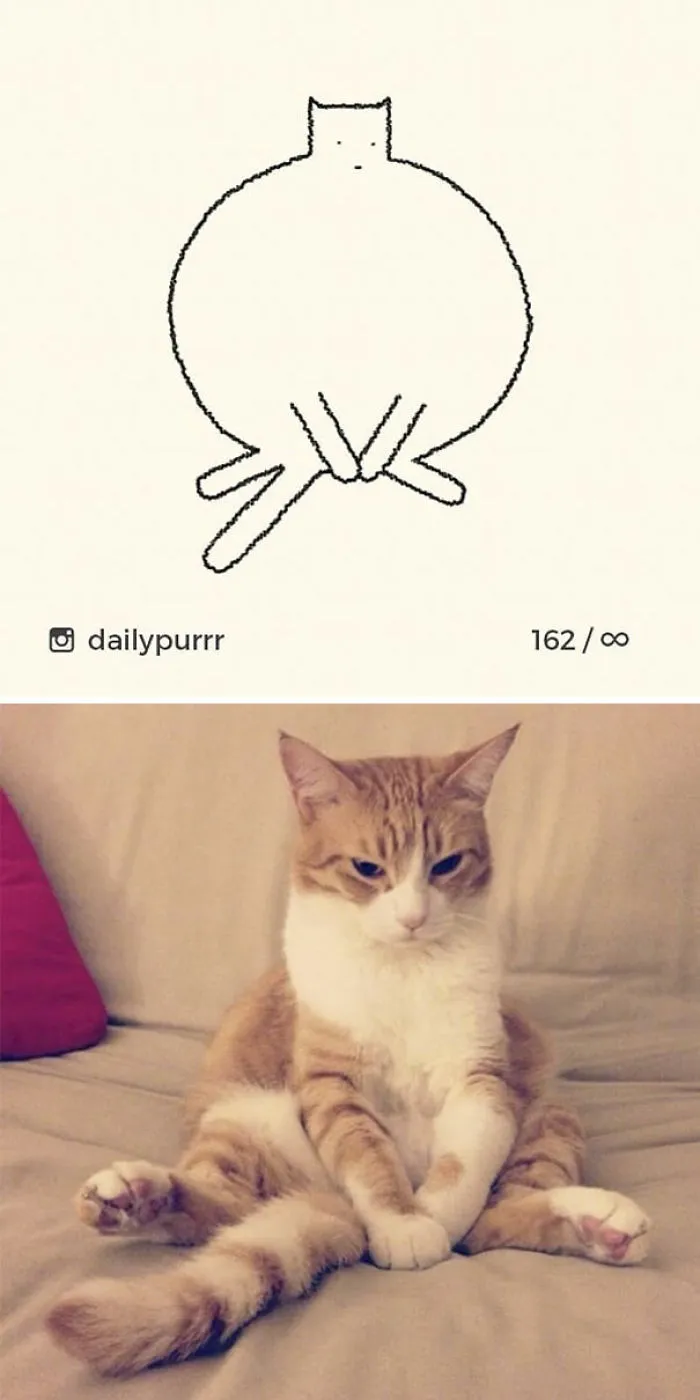 85 Times ‘Stupid Cat Drawings’ Made Everyone Laugh With How Accurate They Were