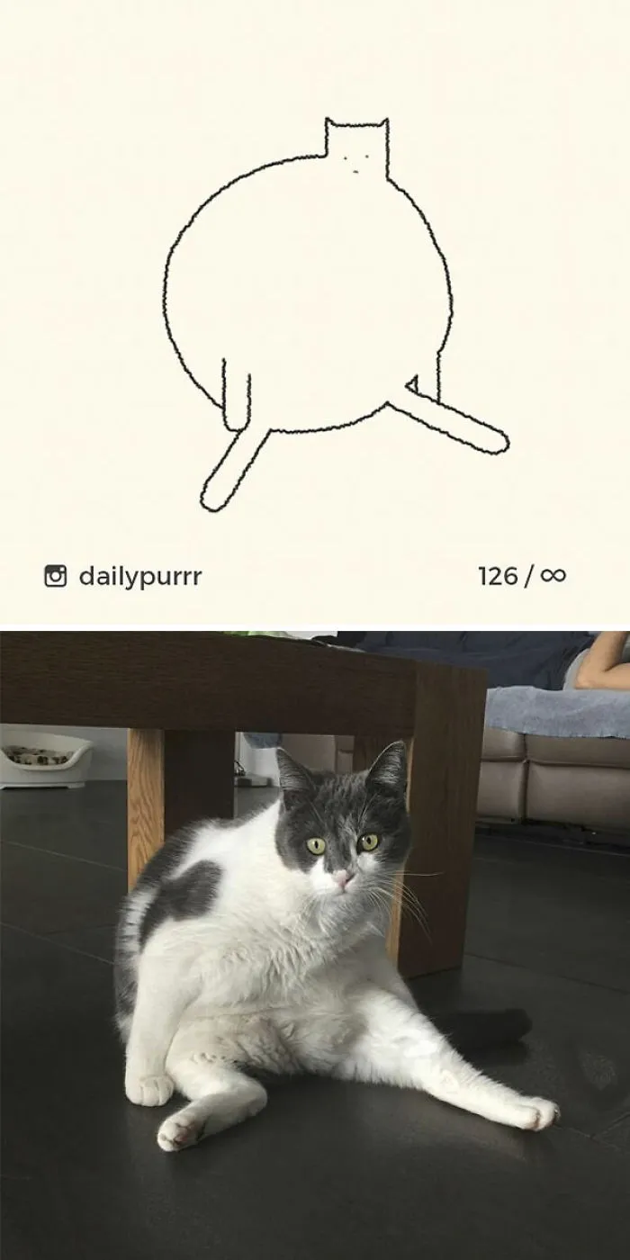 85 Times ‘Stupid Cat Drawings’ Made Everyone Laugh With How Accurate They Were