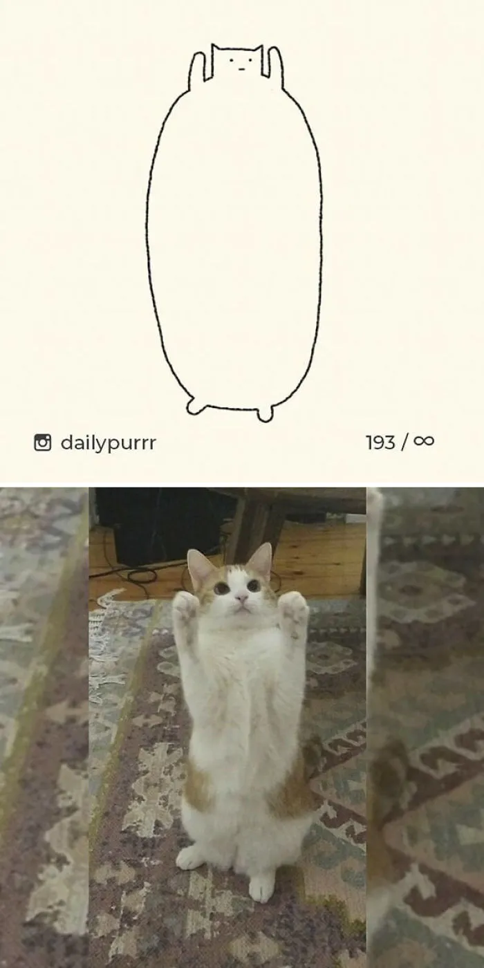 85 Times ‘Stupid Cat Drawings’ Made Everyone Laugh With How Accurate They Were