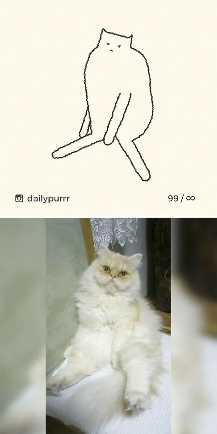 85 Times ‘Stupid Cat Drawings’ Made Everyone Laugh With How Accurate They Were