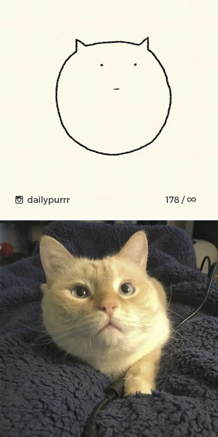 85 Times ‘Stupid Cat Drawings’ Made Everyone Laugh With How Accurate They Were