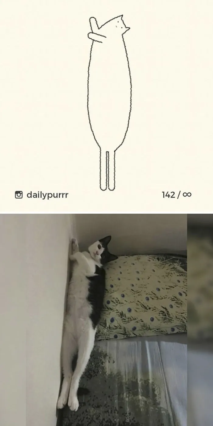 85 Times ‘Stupid Cat Drawings’ Made Everyone Laugh With How Accurate They Were