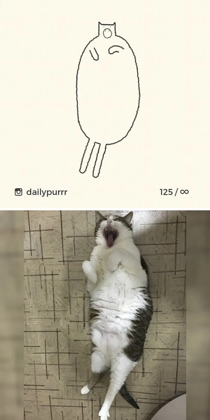 85 Times ‘Stupid Cat Drawings’ Made Everyone Laugh With How Accurate They Were