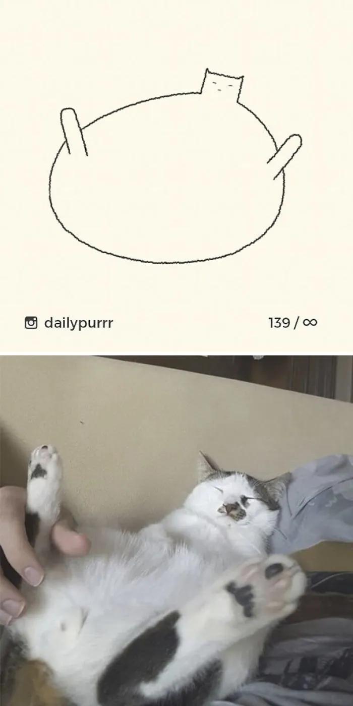 85 Times ‘Stupid Cat Drawings’ Made Everyone Laugh With How Accurate They Were