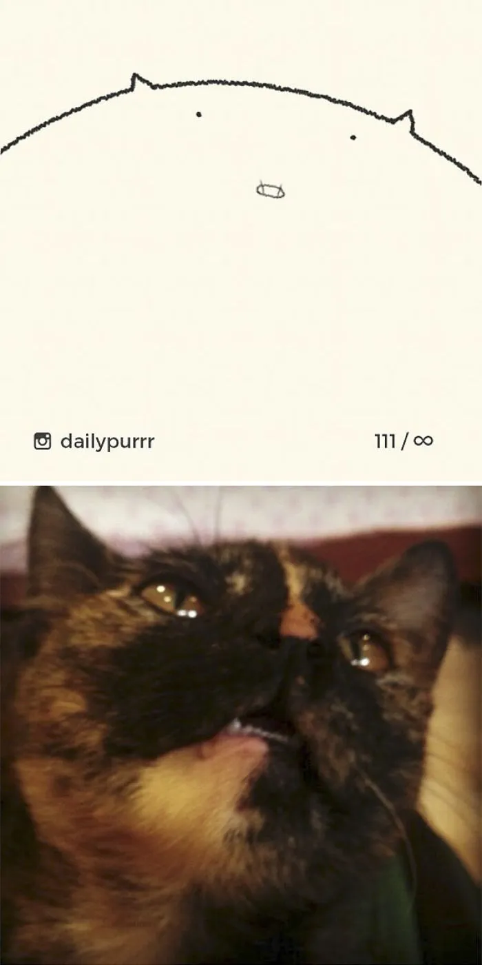 85 Times ‘Stupid Cat Drawings’ Made Everyone Laugh With How Accurate They Were