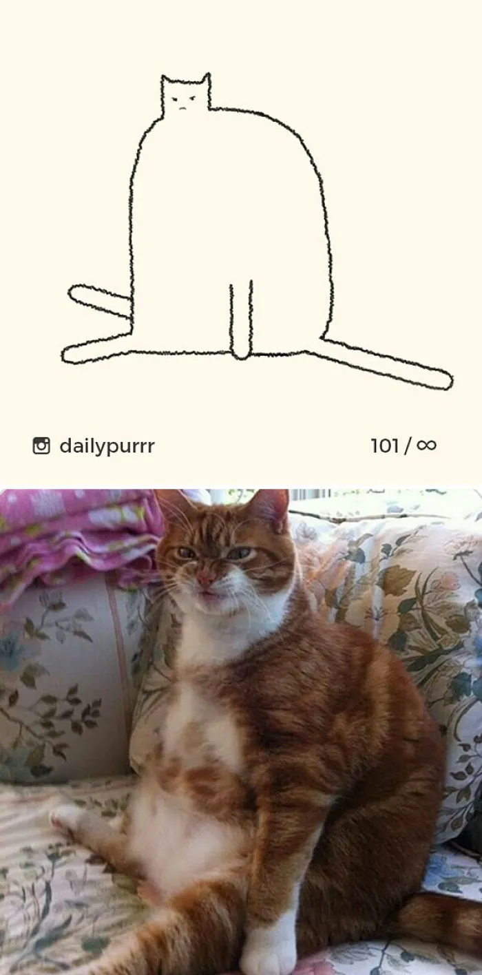 85 Times ‘Stupid Cat Drawings’ Made Everyone Laugh With How Accurate They Were