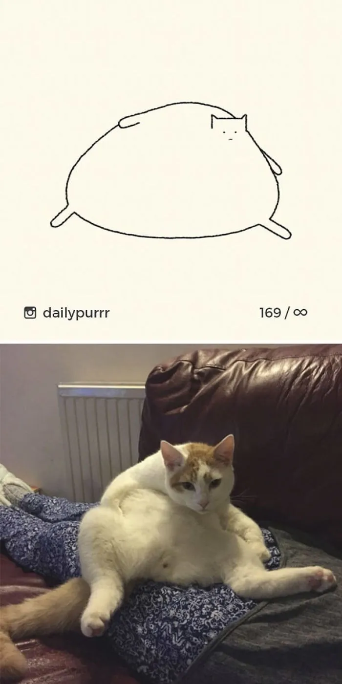 85 Times ‘Stupid Cat Drawings’ Made Everyone Laugh With How Accurate They Were