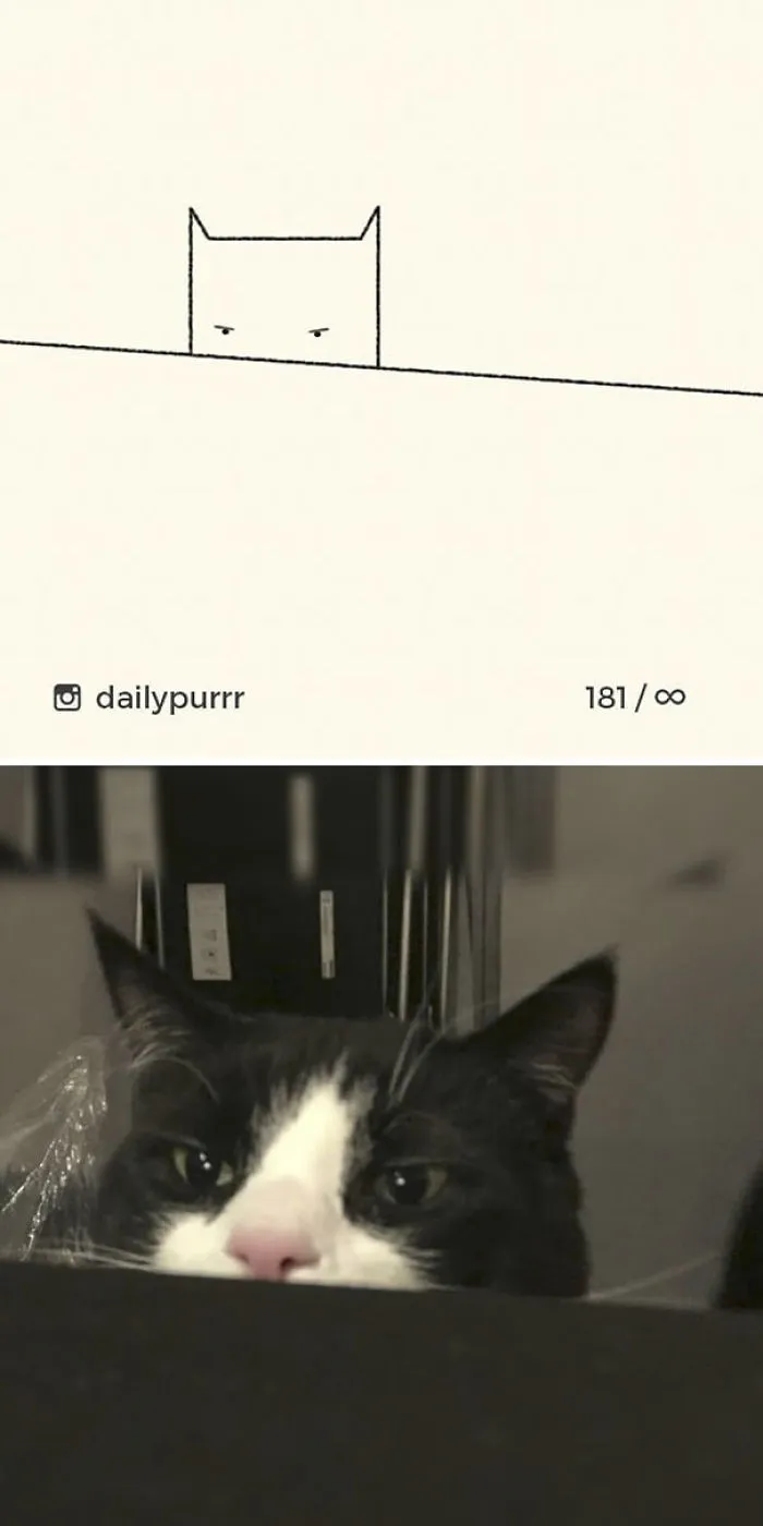 85 Times ‘Stupid Cat Drawings’ Made Everyone Laugh With How Accurate They Were