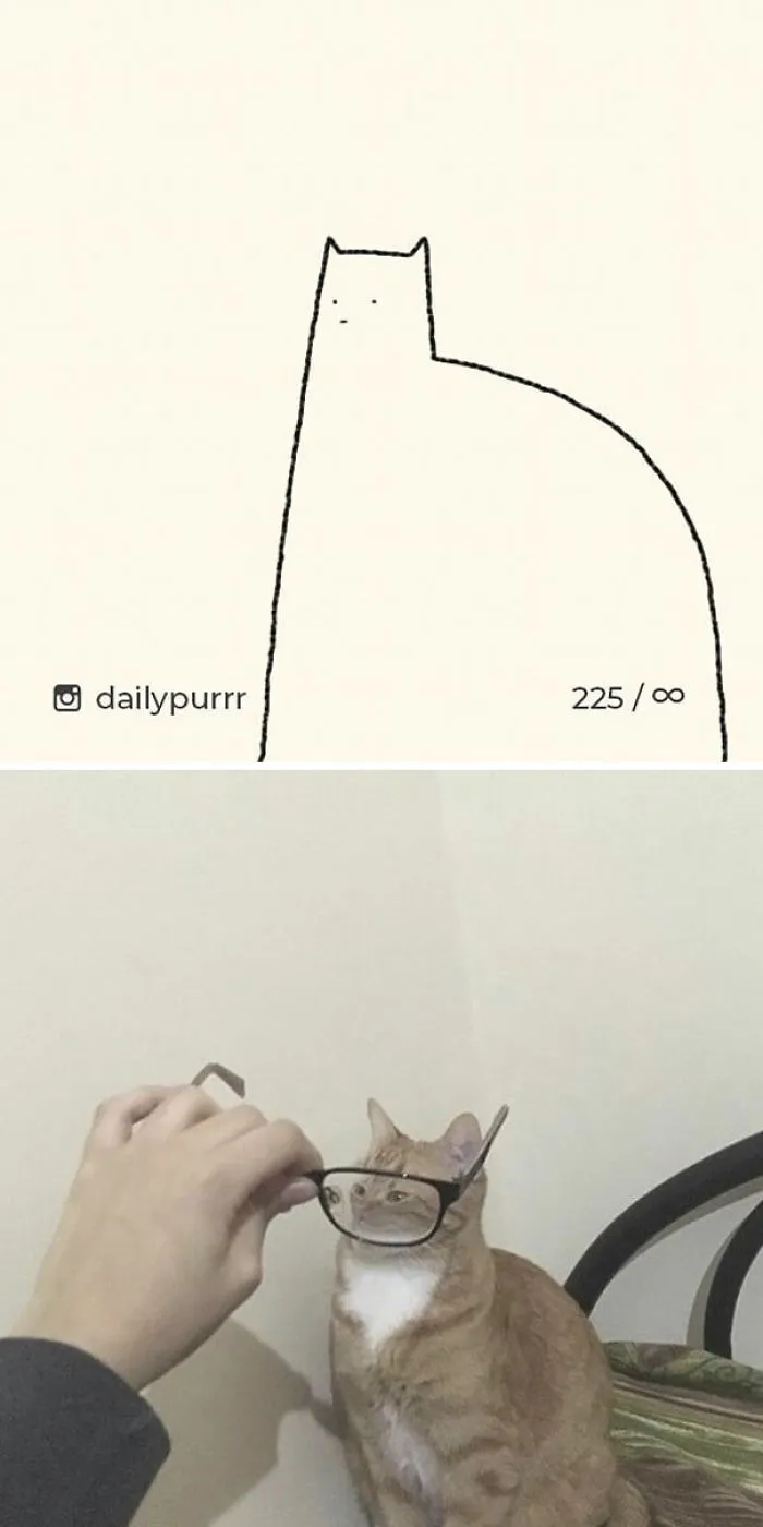 85 Times ‘Stupid Cat Drawings’ Made Everyone Laugh With How Accurate They Were