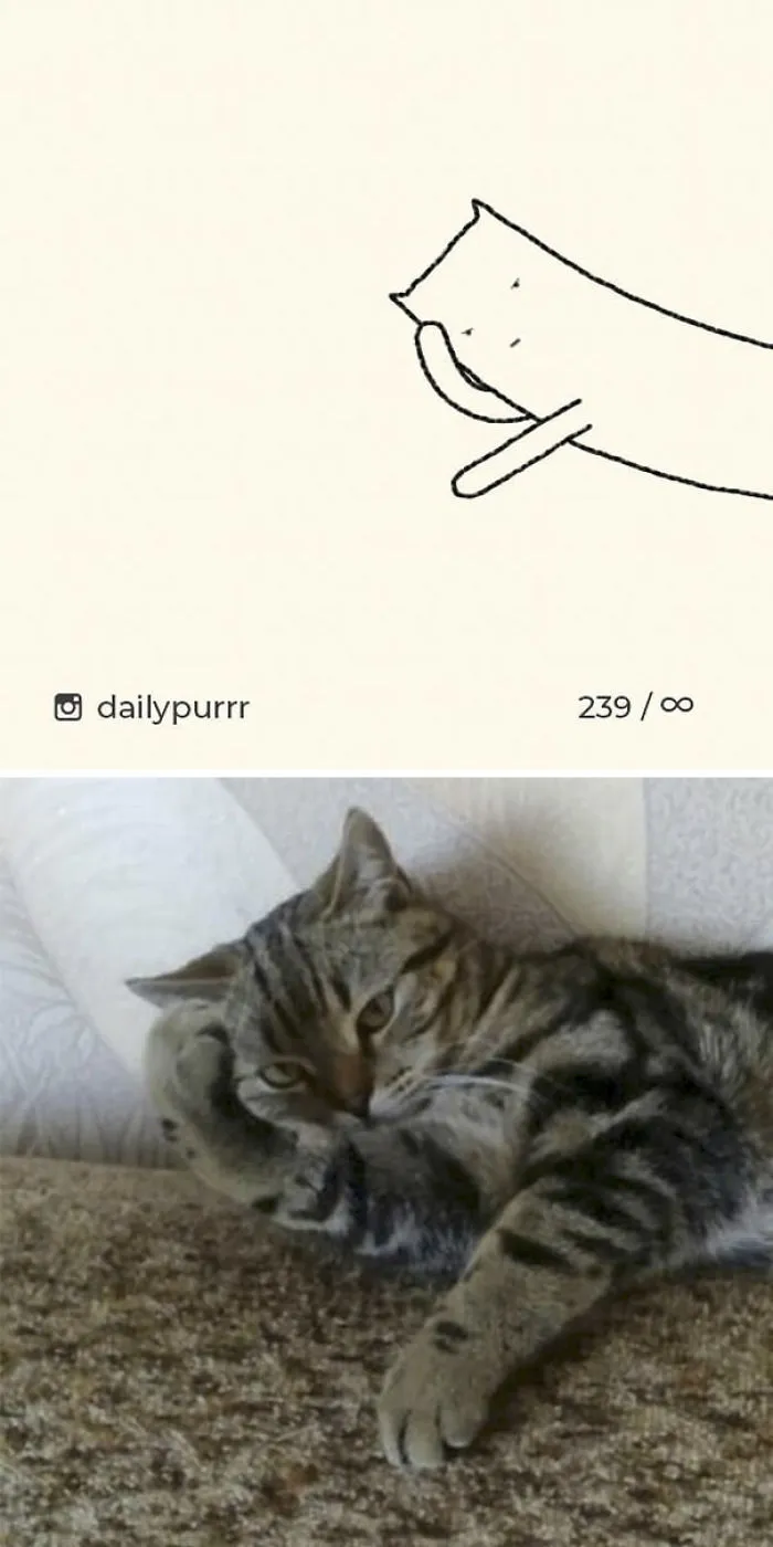 85 Times ‘Stupid Cat Drawings’ Made Everyone Laugh With How Accurate They Were