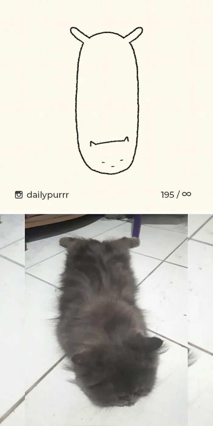 85 Times ‘Stupid Cat Drawings’ Made Everyone Laugh With How Accurate They Were
