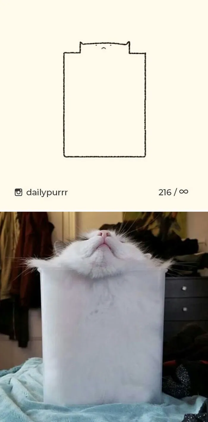 85 Times ‘Stupid Cat Drawings’ Made Everyone Laugh With How Accurate They Were