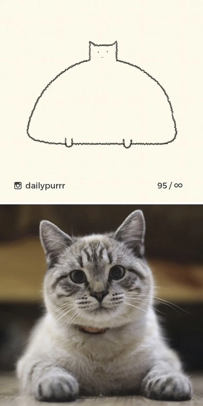 85 Times ‘Stupid Cat Drawings’ Made Everyone Laugh With How Accurate They Were