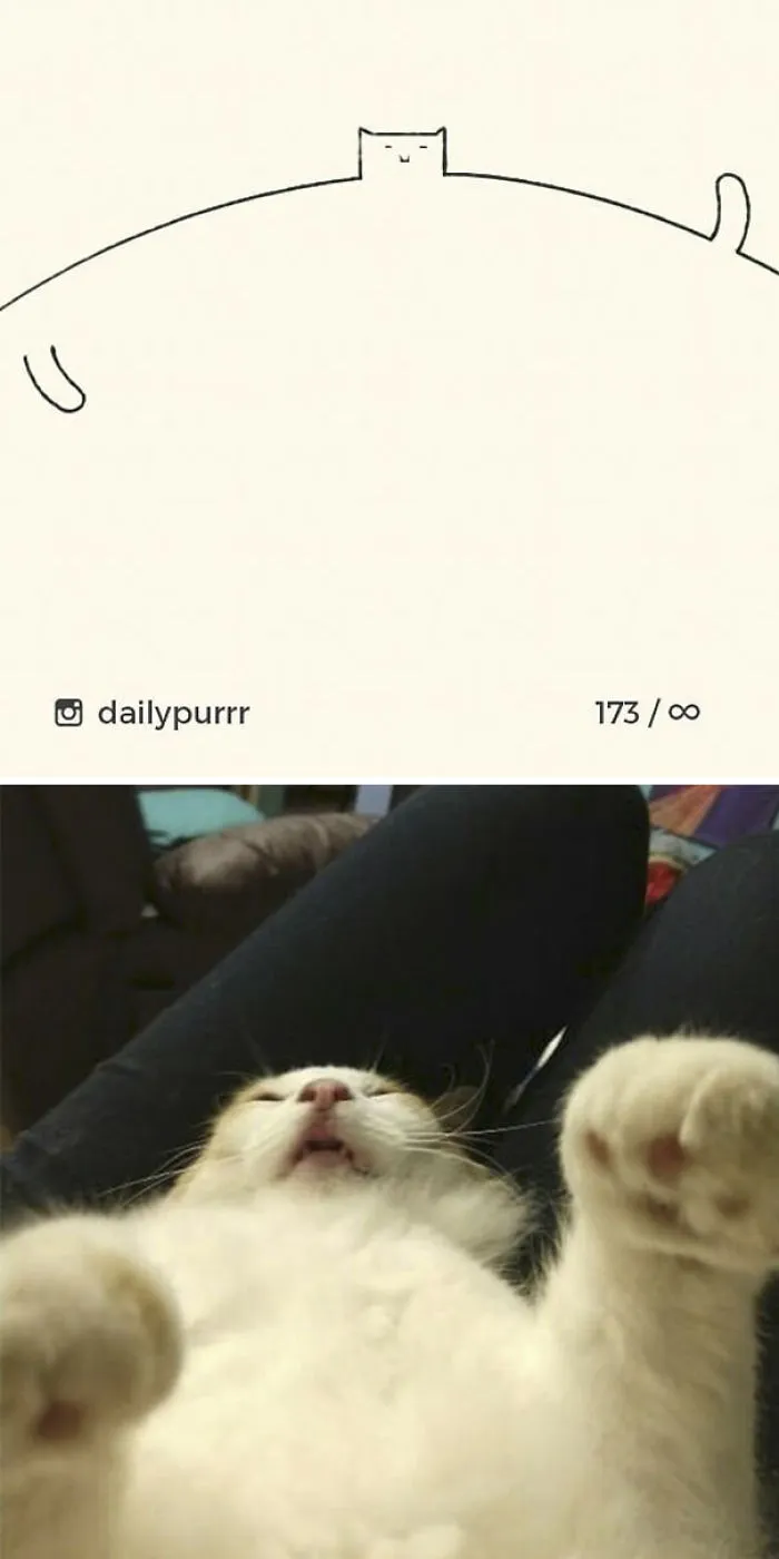 85 Times ‘Stupid Cat Drawings’ Made Everyone Laugh With How Accurate They Were