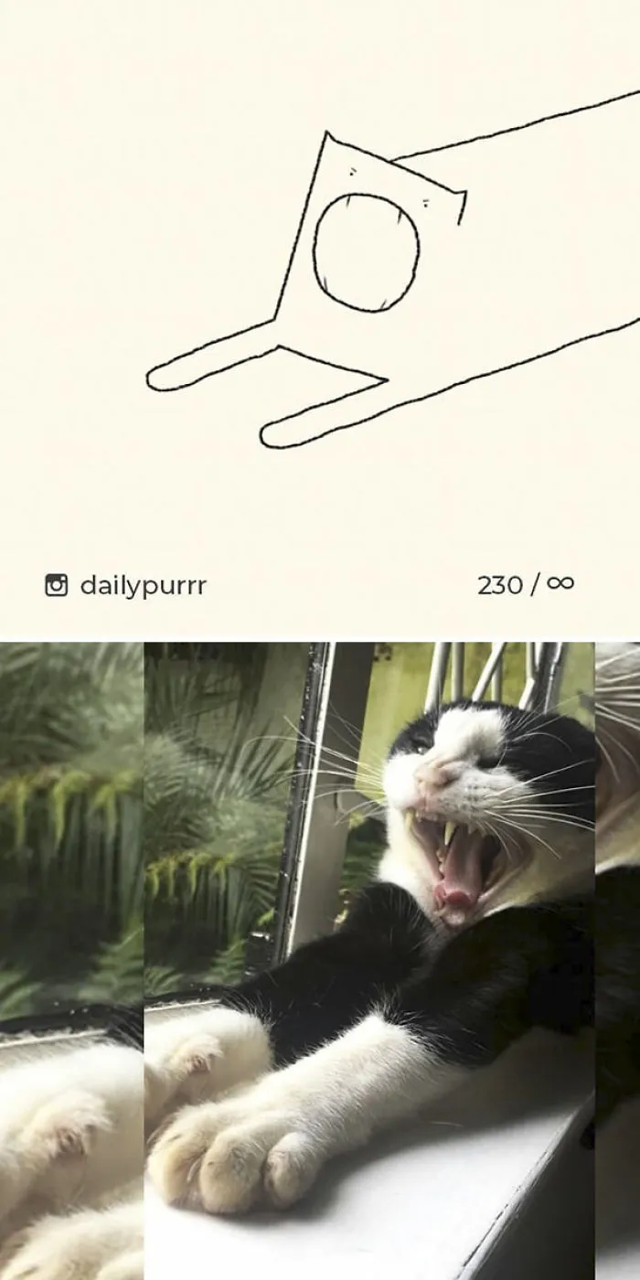 85 Times ‘Stupid Cat Drawings’ Made Everyone Laugh With How Accurate They Were