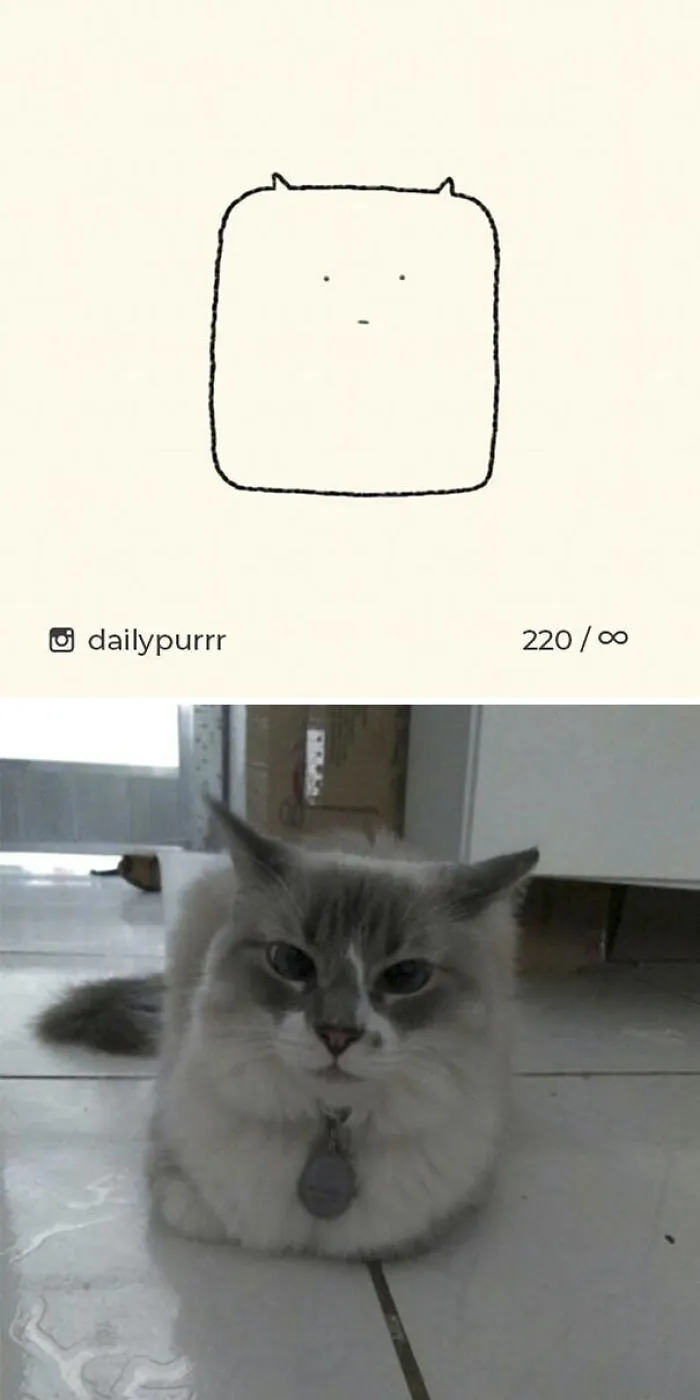 85 Times ‘Stupid Cat Drawings’ Made Everyone Laugh With How Accurate They Were