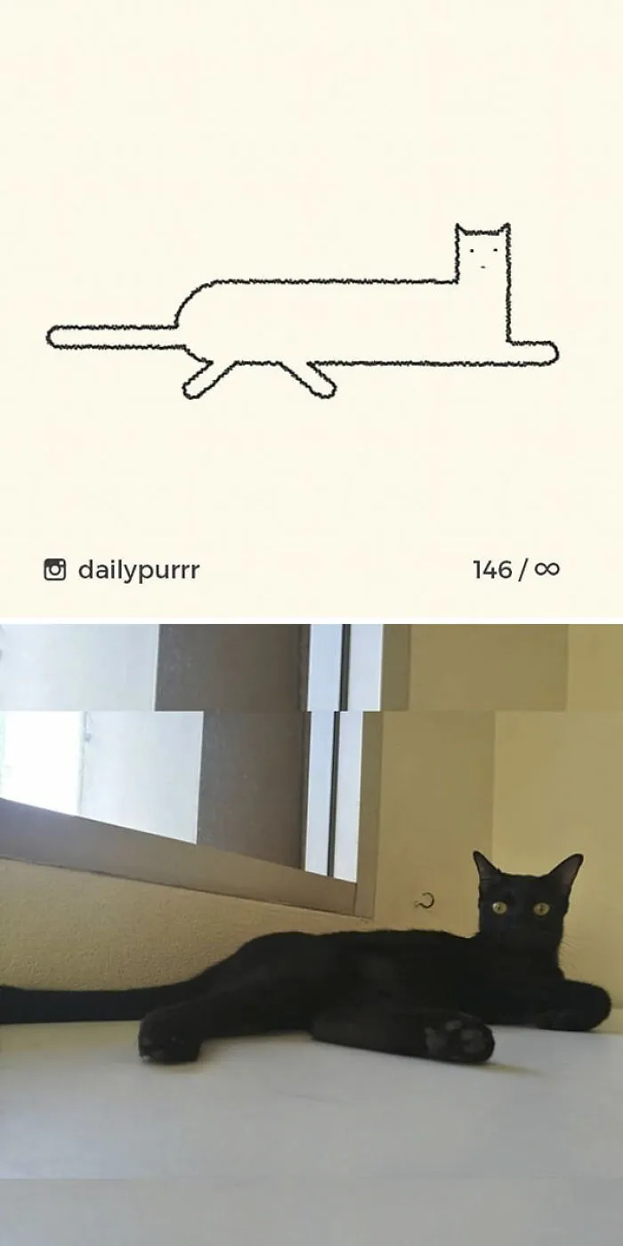 85 Times ‘Stupid Cat Drawings’ Made Everyone Laugh With How Accurate They Were