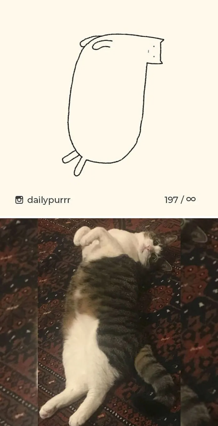 85 Times ‘Stupid Cat Drawings’ Made Everyone Laugh With How Accurate They Were