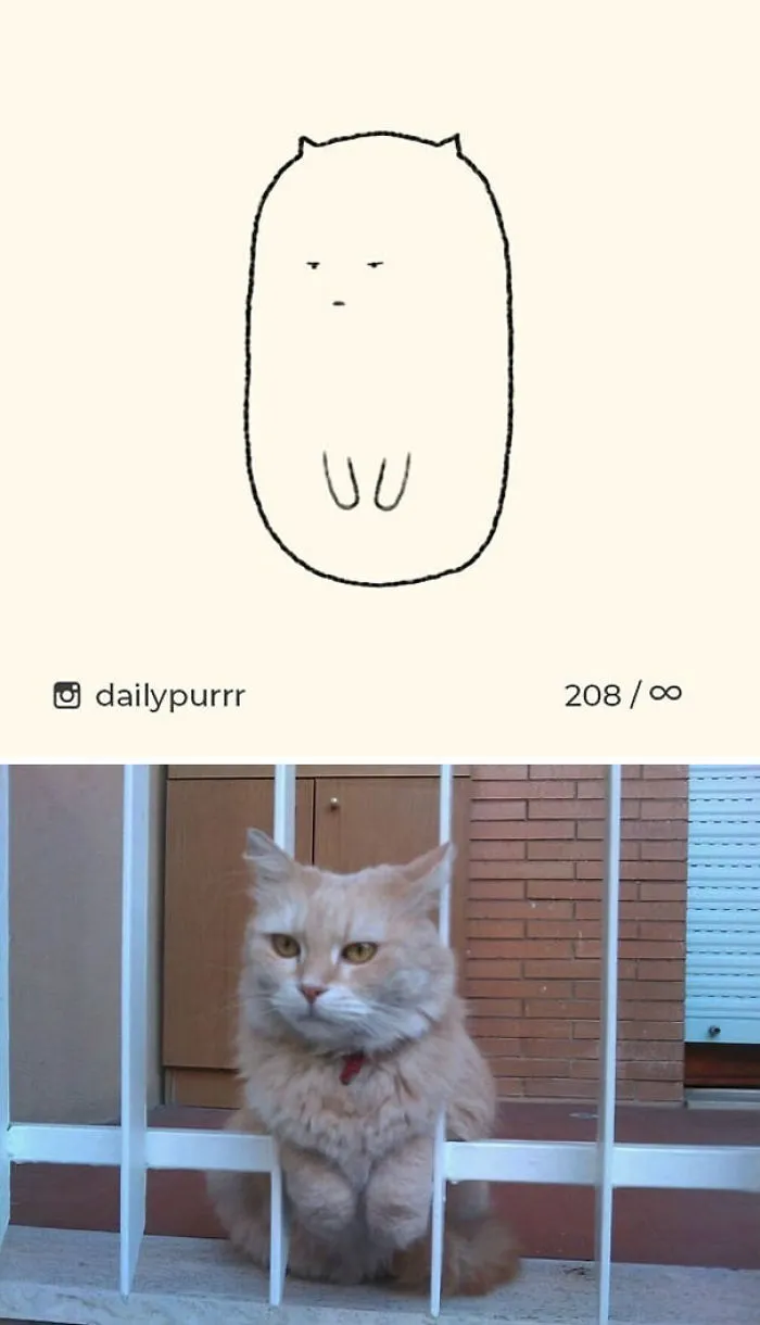 85 Times ‘Stupid Cat Drawings’ Made Everyone Laugh With How Accurate They Were