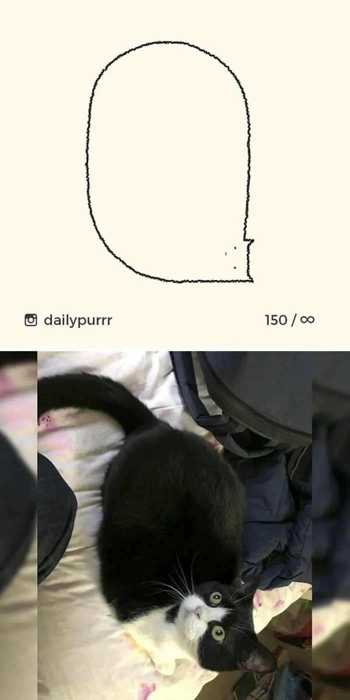 85 Times ‘Stupid Cat Drawings’ Made Everyone Laugh With How Accurate They Were