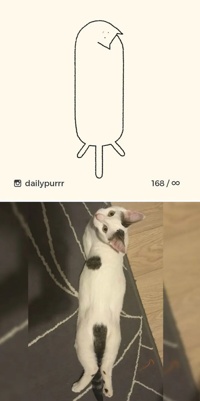 85 Times ‘Stupid Cat Drawings’ Made Everyone Laugh With How Accurate They Were