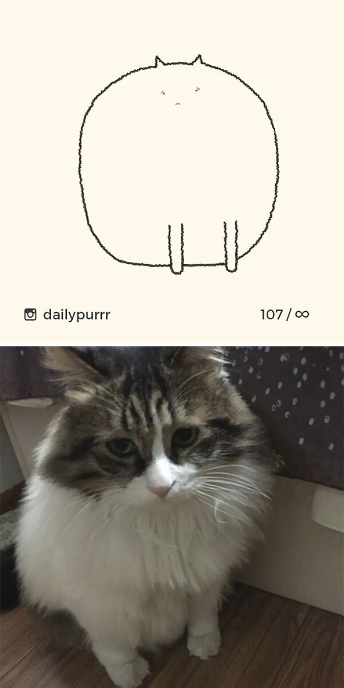 85 Times ‘Stupid Cat Drawings’ Made Everyone Laugh With How Accurate They Were