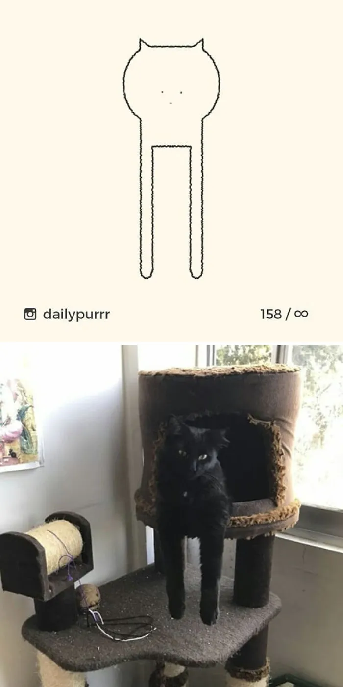 85 Times ‘Stupid Cat Drawings’ Made Everyone Laugh With How Accurate They Were