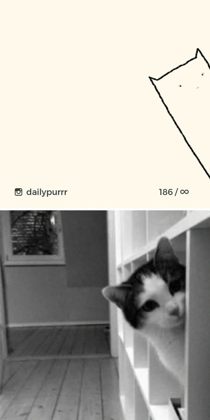 85 Times ‘Stupid Cat Drawings’ Made Everyone Laugh With How Accurate They Were