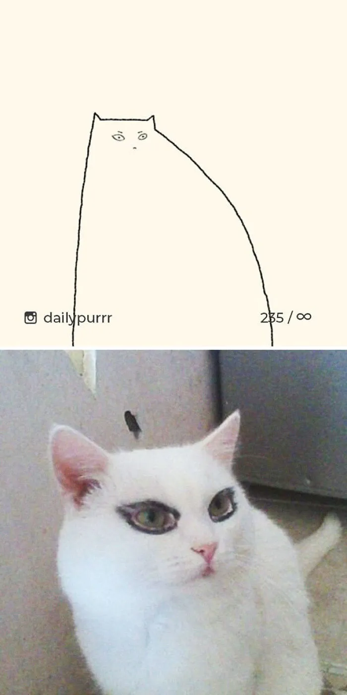 85 Times ‘Stupid Cat Drawings’ Made Everyone Laugh With How Accurate They Were