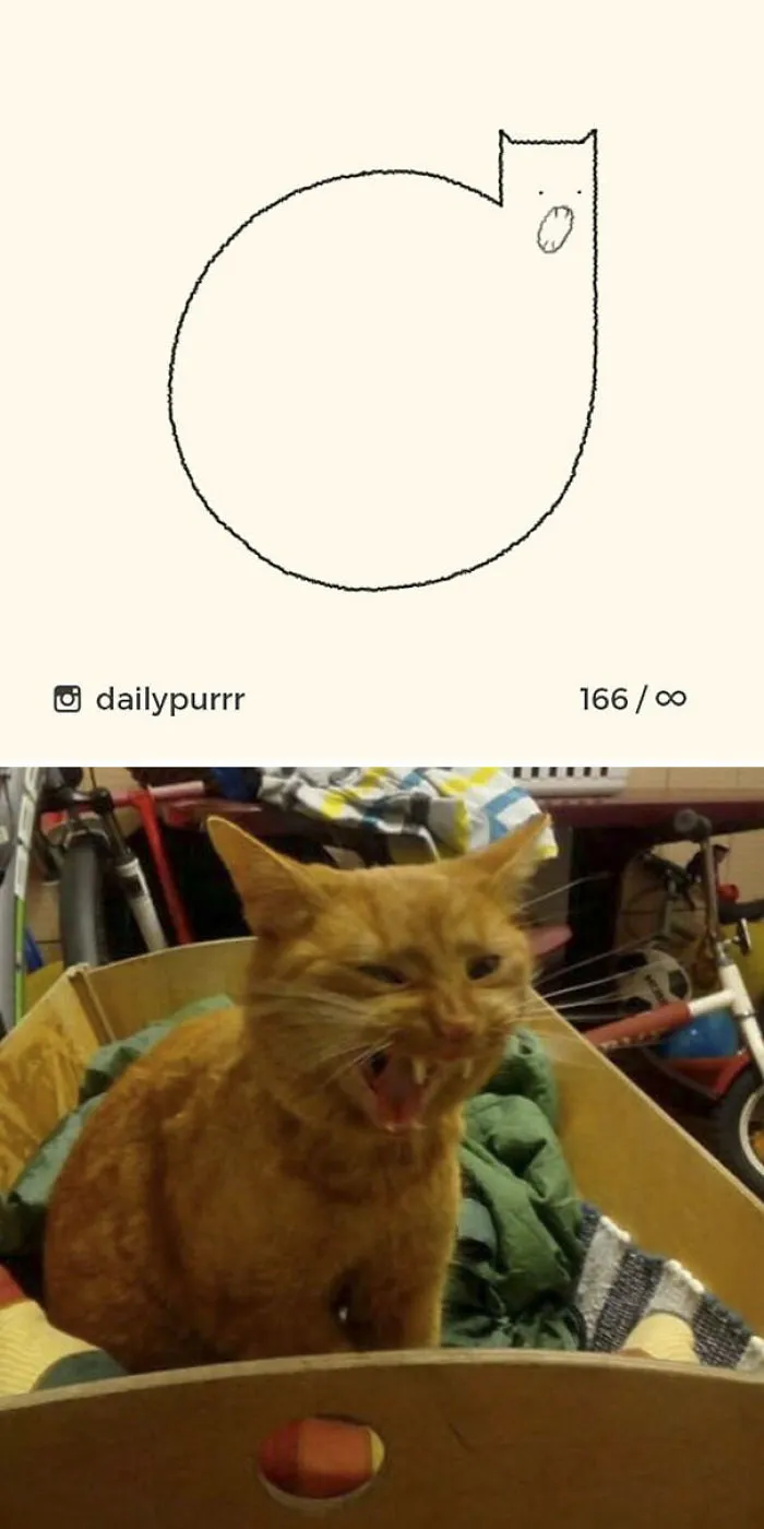 85 Times ‘Stupid Cat Drawings’ Made Everyone Laugh With How Accurate They Were