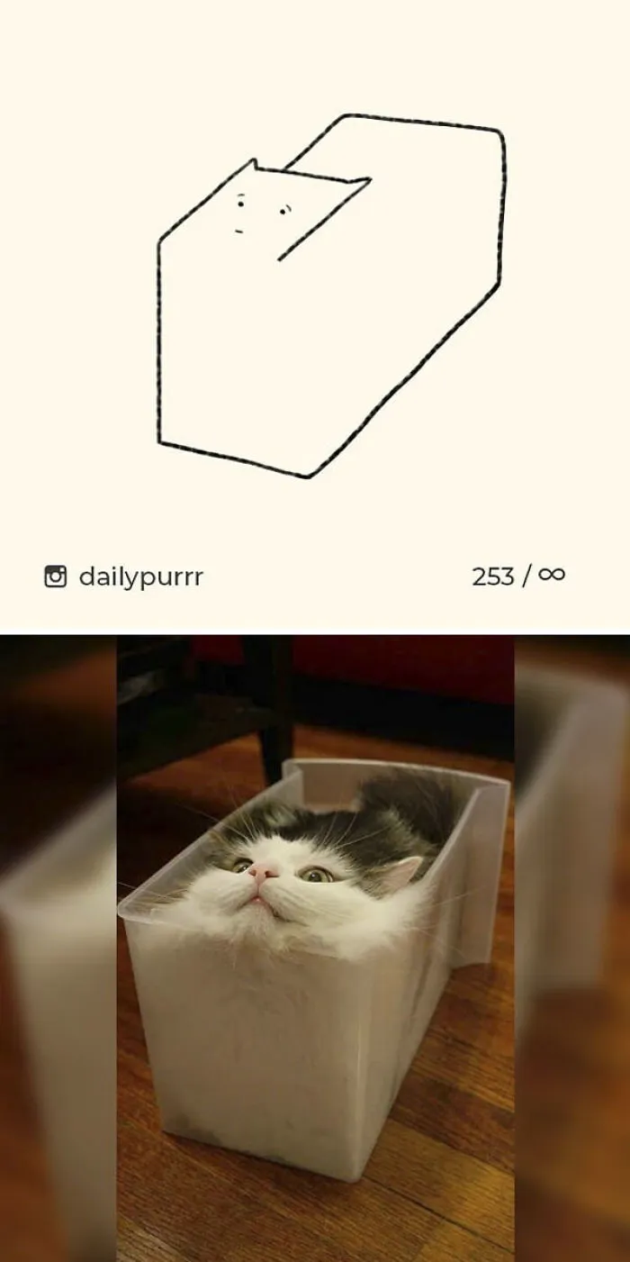 85 Times ‘Stupid Cat Drawings’ Made Everyone Laugh With How Accurate They Were