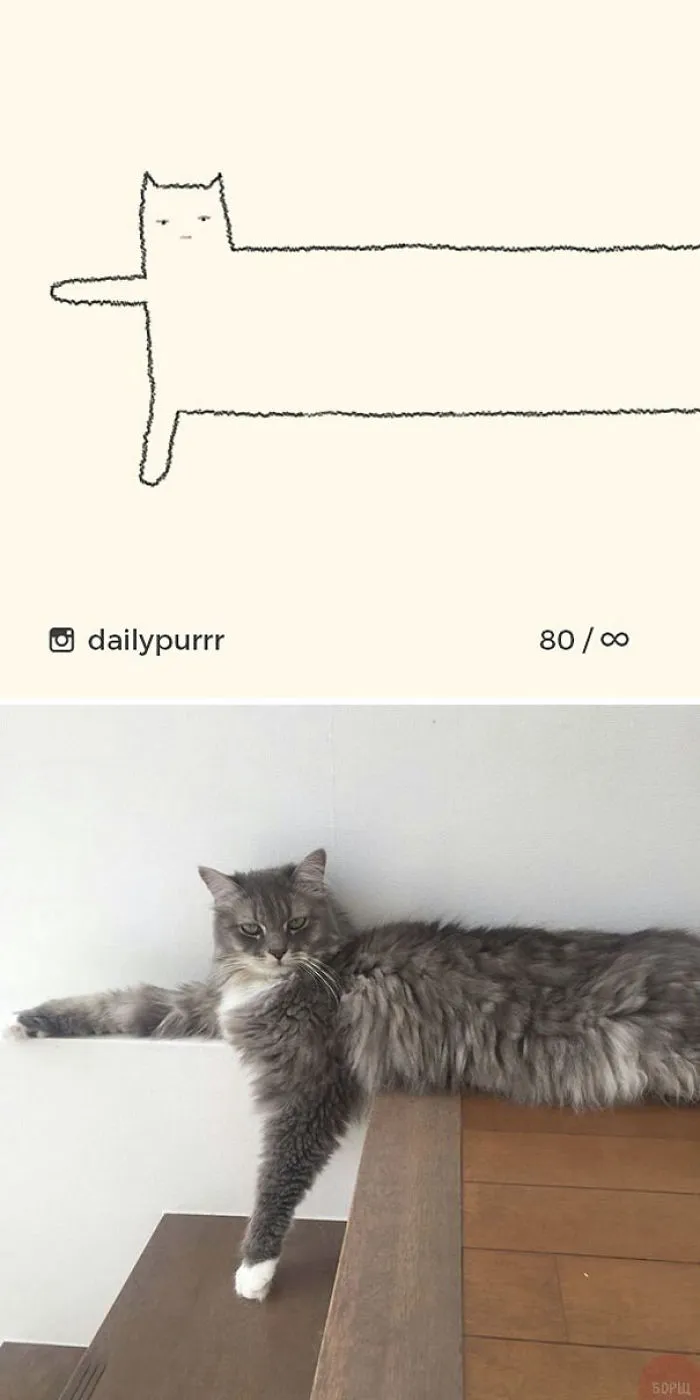 85 Times ‘Stupid Cat Drawings’ Made Everyone Laugh With How Accurate They Were