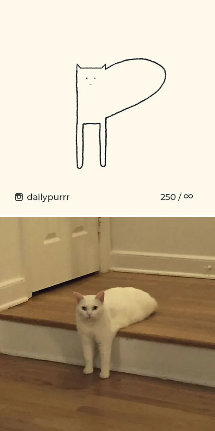 85 Times ‘Stupid Cat Drawings’ Made Everyone Laugh With How Accurate They Were