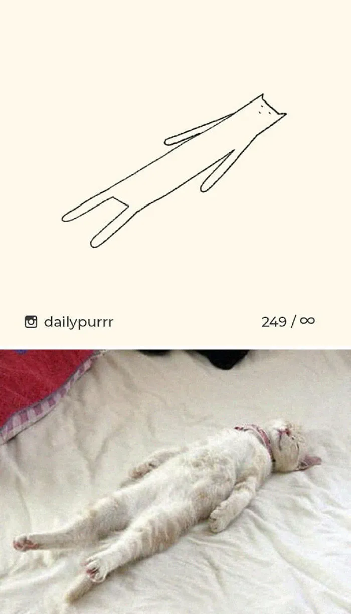 85 Times ‘Stupid Cat Drawings’ Made Everyone Laugh With How Accurate They Were